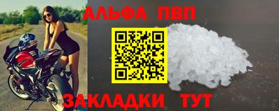 спиды Донской