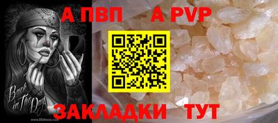 спиды Донской