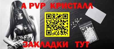 спиды Донской