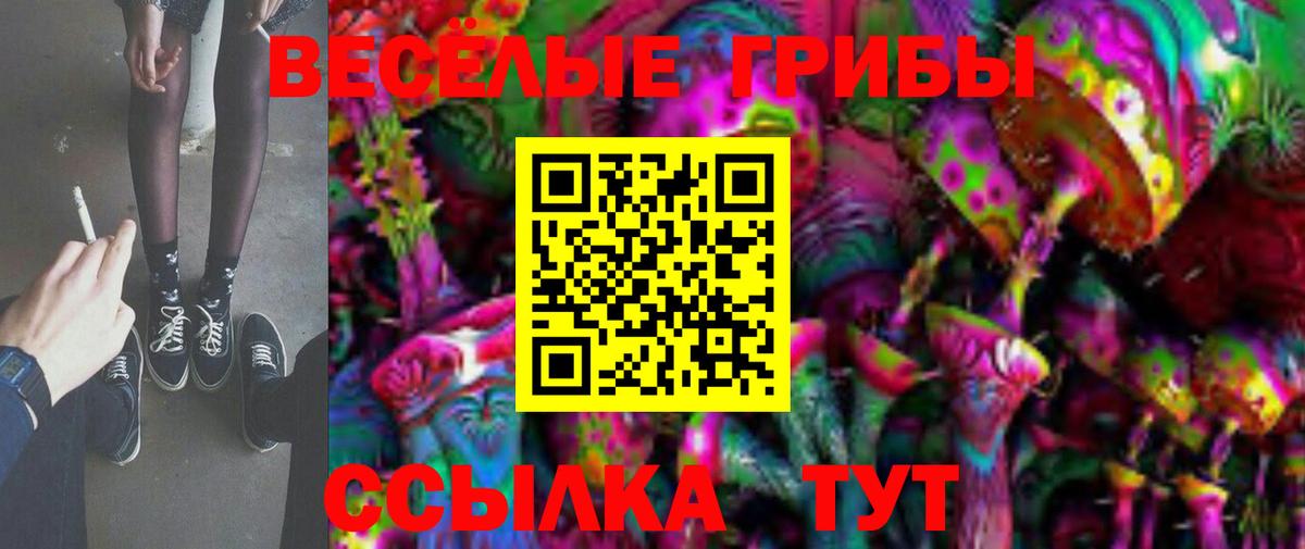 Псилоцибиновые грибы прущие грибы Медногорск