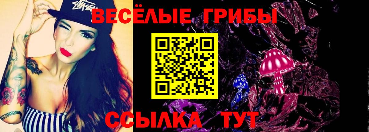 Медногорск  где можно купить   Вход с VPN  Галлюциногенные грибы мицелий 